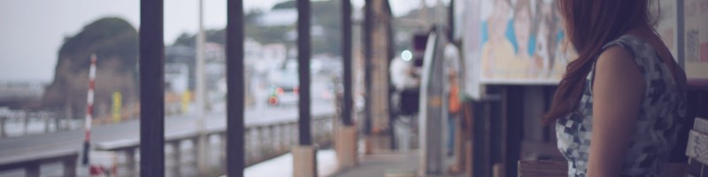 �Ԃ���񐬒��h�{�����H�y�J�C���f�X�g�x�r�[�t�[�h�z���T�C�g